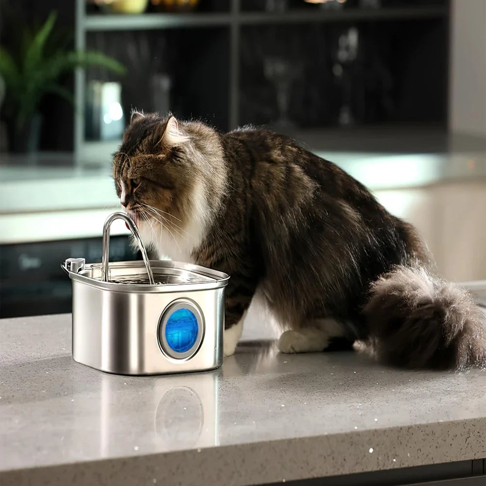 Cat Water Fountain Stainless Steel Drinking Fountain for Clean Routines main product image for dogs and cats