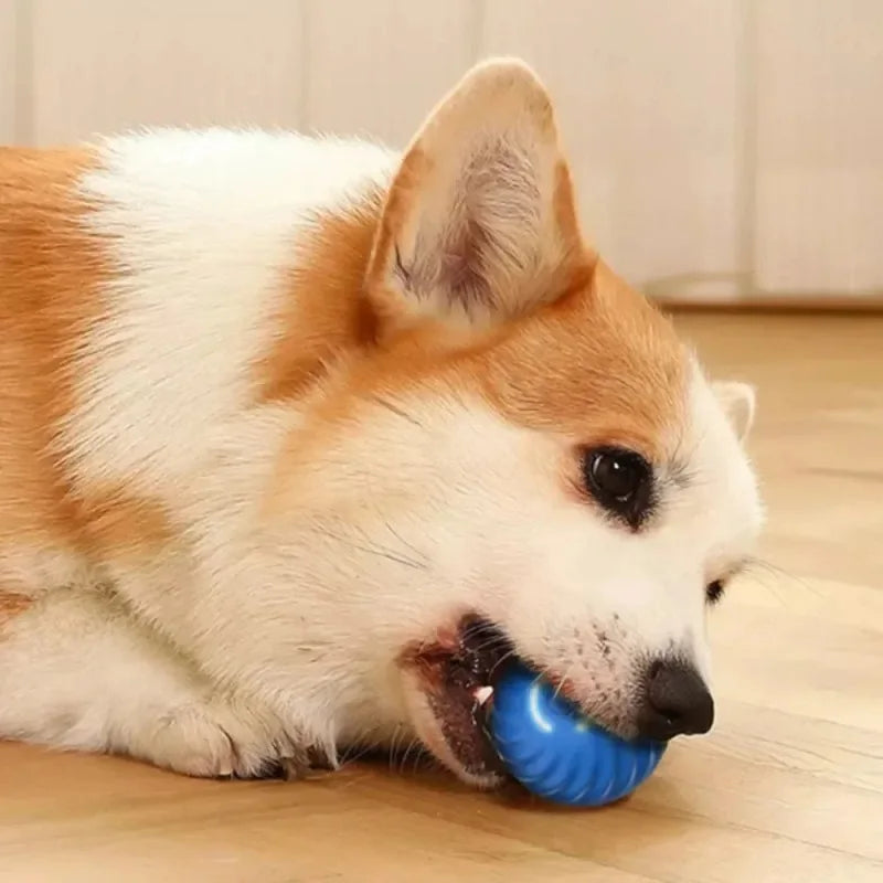 Dog Toy Ball Automatic Moving Bouncing Rolling Ball USB Smart puppy Interactive Dog Chew Toy Ball - lifestyle view
