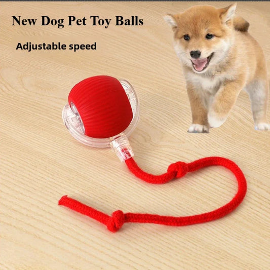 Rechargeable Smart Pet Interactive Automatic Rolling Ball Toy Cats Pet Products New Electric Dog Ball Toy Simulated Tail For