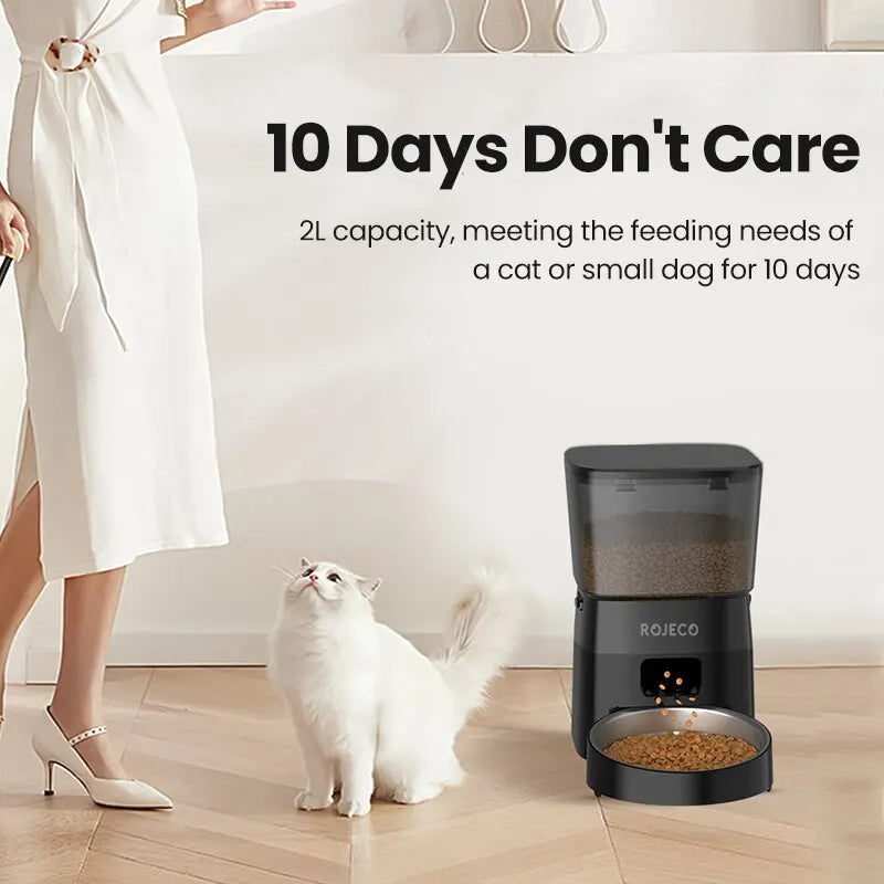 Cat Food Automatic Feeder Button Version Auto Food main product image for dogs and cats