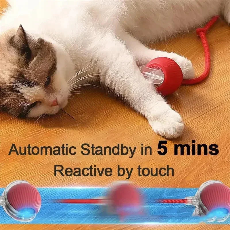 Rechargeable Smart Pet Interactive Automatic Rolling Ball Toy Cats Pet Products New Electric Dog Ball Toy Simulated Tail For