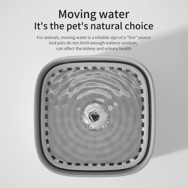 Cat Water Fountain Filtered Water Fountain and Cats for Daily Use main product image for dogs and cats