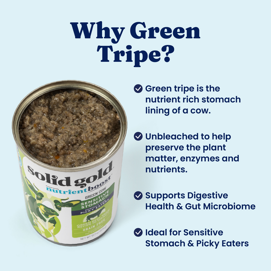 Solid Gold Nutrientboost Grain Free Green Beef Tripe Dog 13 - close up view