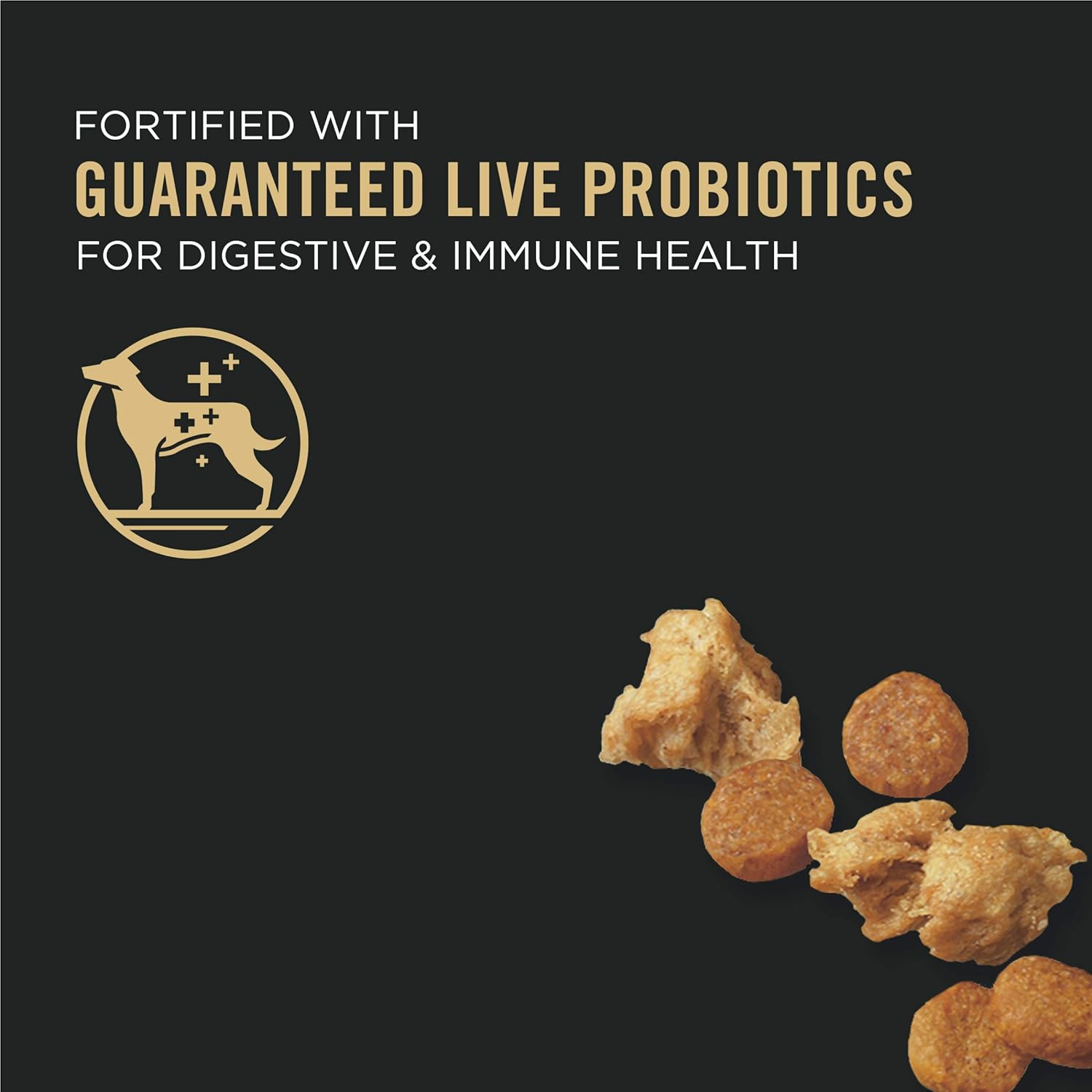 Pro Plan Puppy Shredded Blend Chicken Rice Formula Dry Dog - detail view
