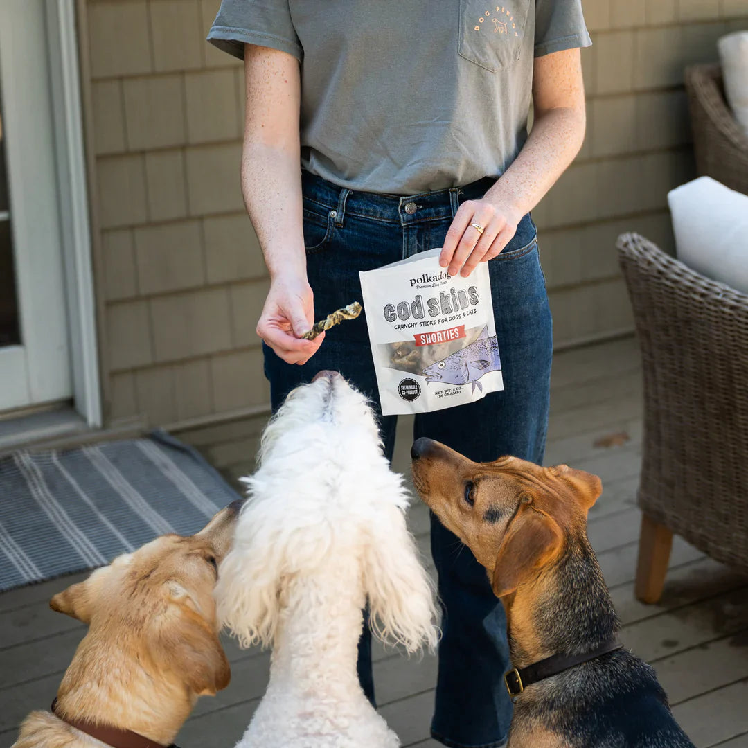 Dog Treats Premium Cod Chews 2oz Training Rewards Premium - lifestyle view