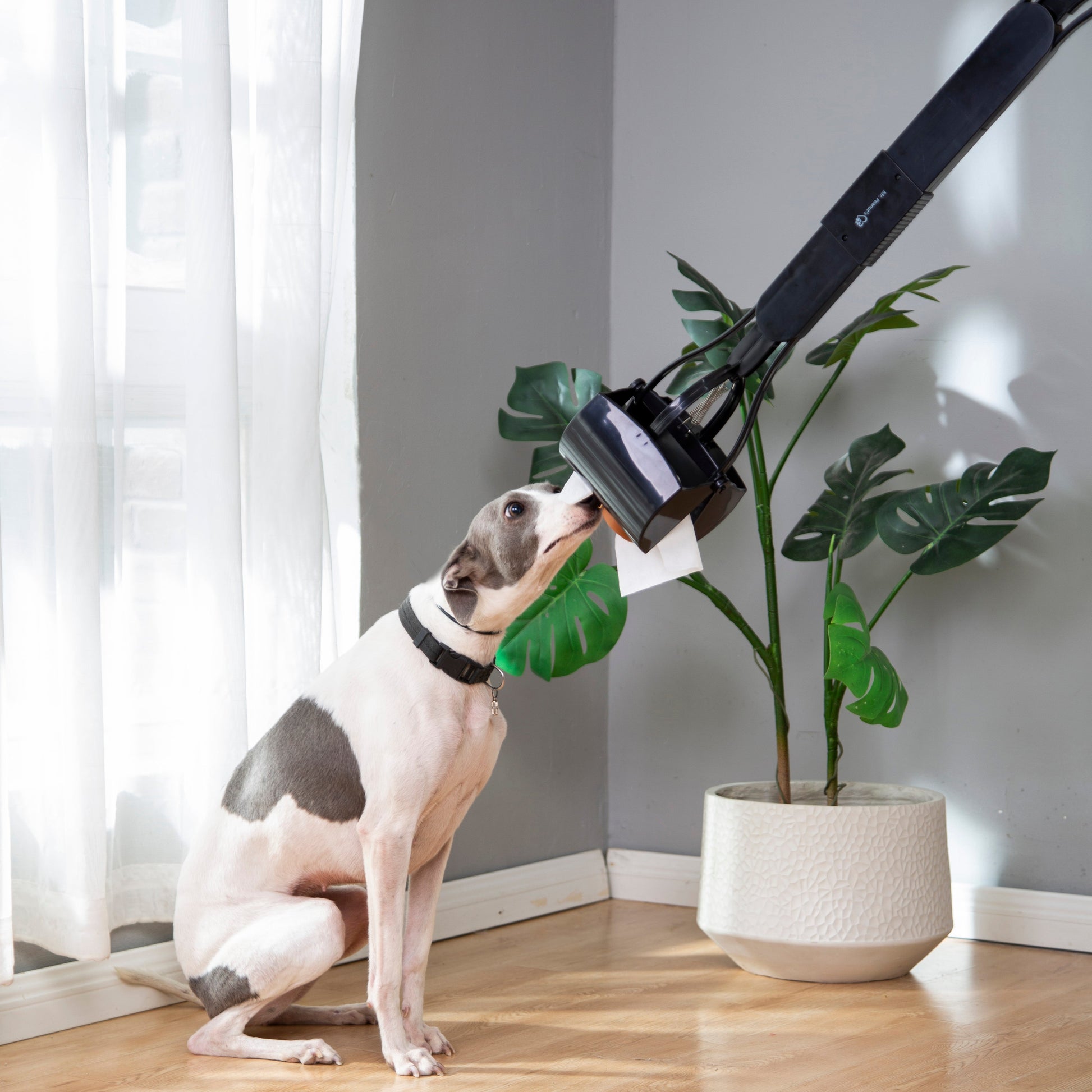 Mr. Peanut's 32" Tall Profile Pooper Scooper - gallery image 25