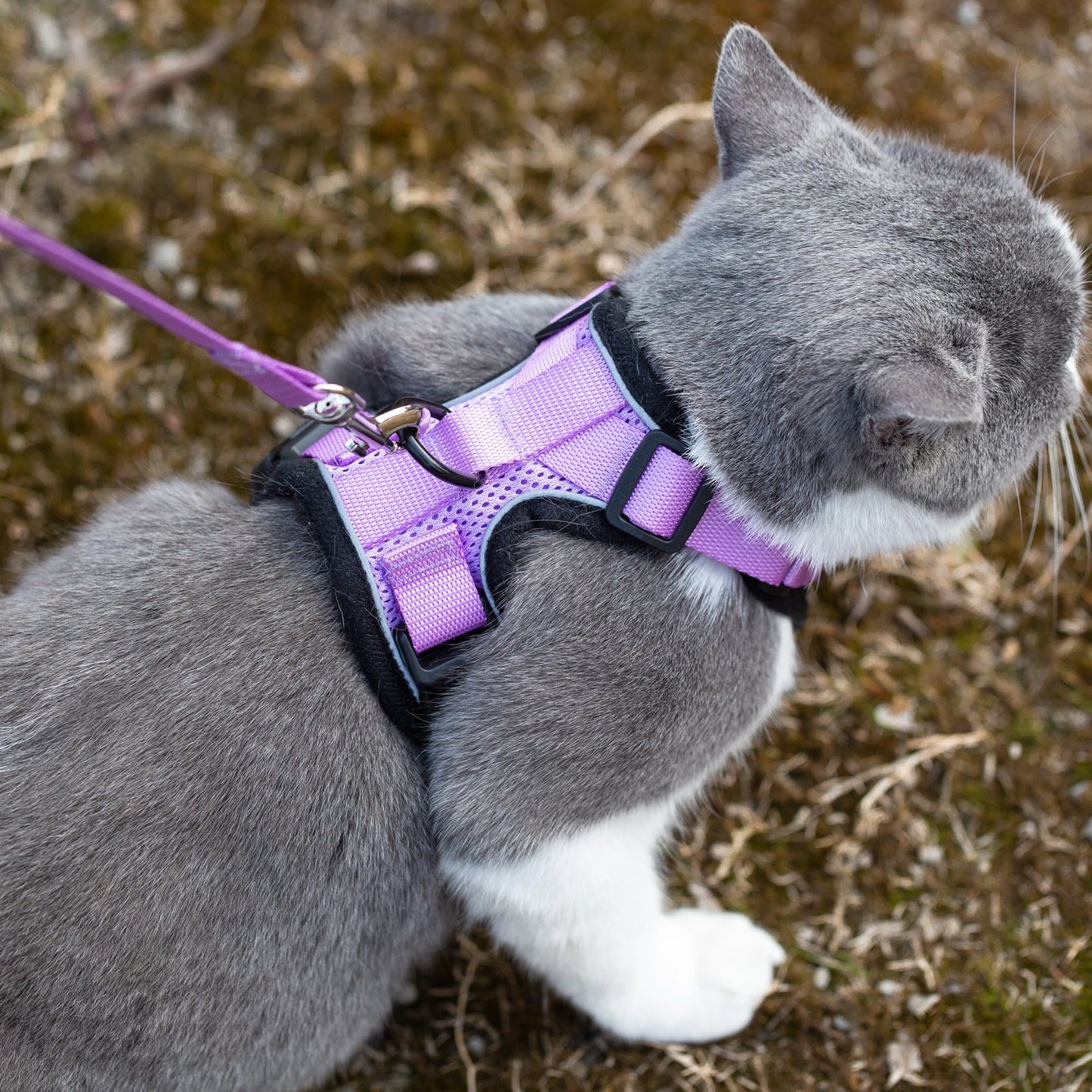 Mr. Peanut's PurrTrek Reflective Cat Harness with Matching Leash - gallery image 14