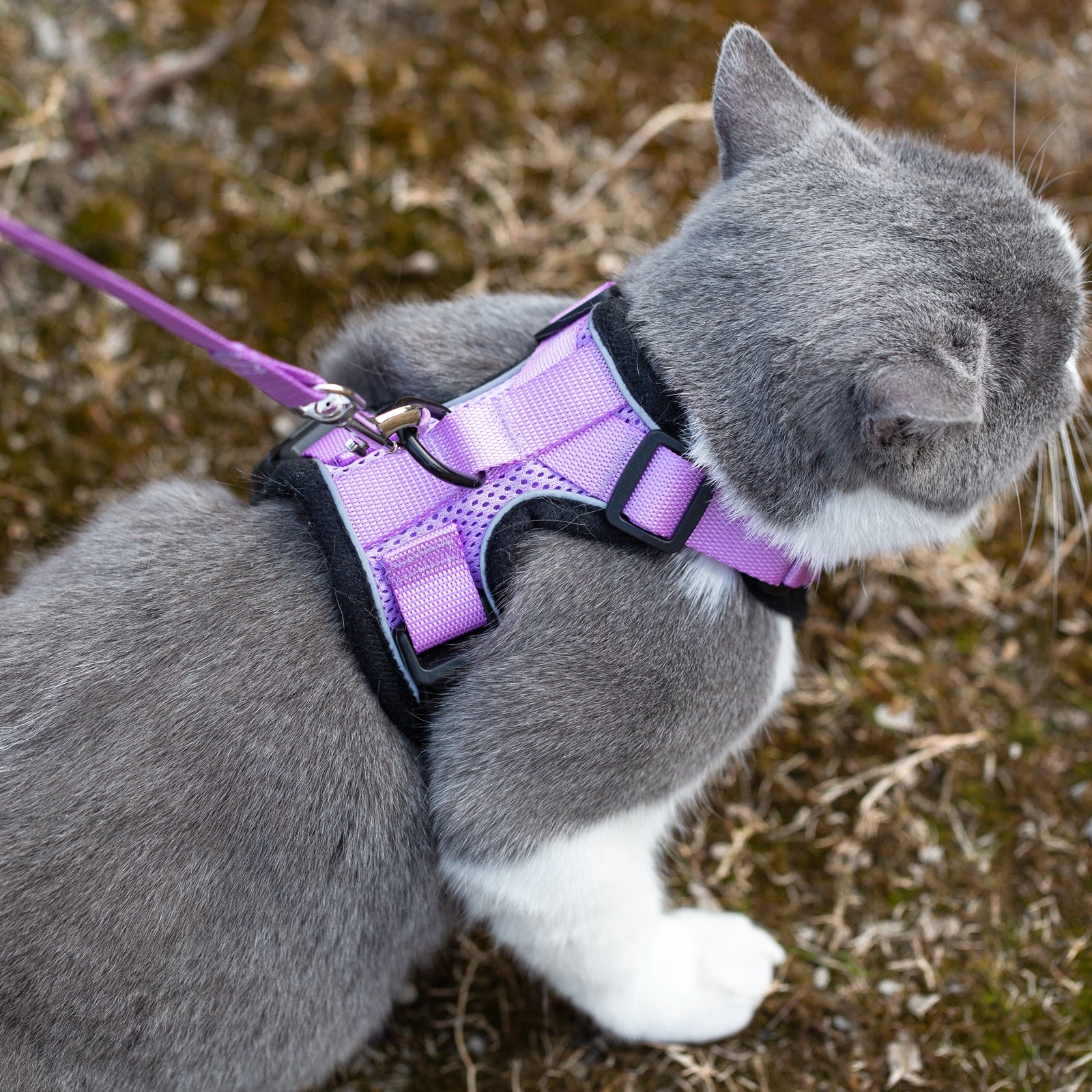 Mr. Peanut's PurrTrek Reflective Cat Harness with Matching Leash - gallery image 14