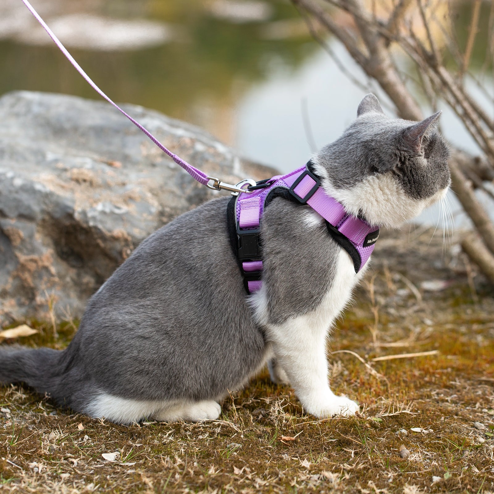 Mr. Peanut's PurrTrek Reflective Cat Harness with Matching Leash - gallery image 21