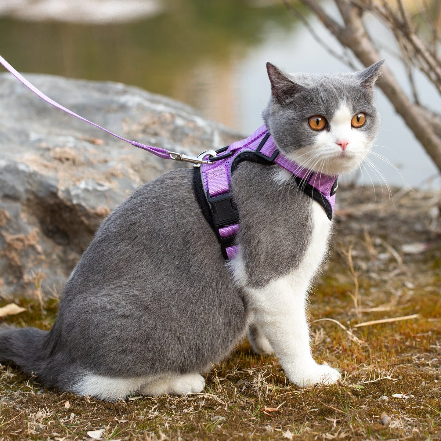 Mr. Peanut's PurrTrek Reflective Cat Harness with Matching Leash - gallery image 22