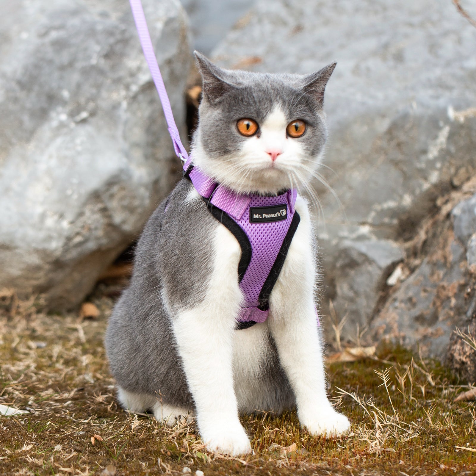 Mr. Peanut's PurrTrek Reflective Cat Harness with Matching Leash - gallery image 10