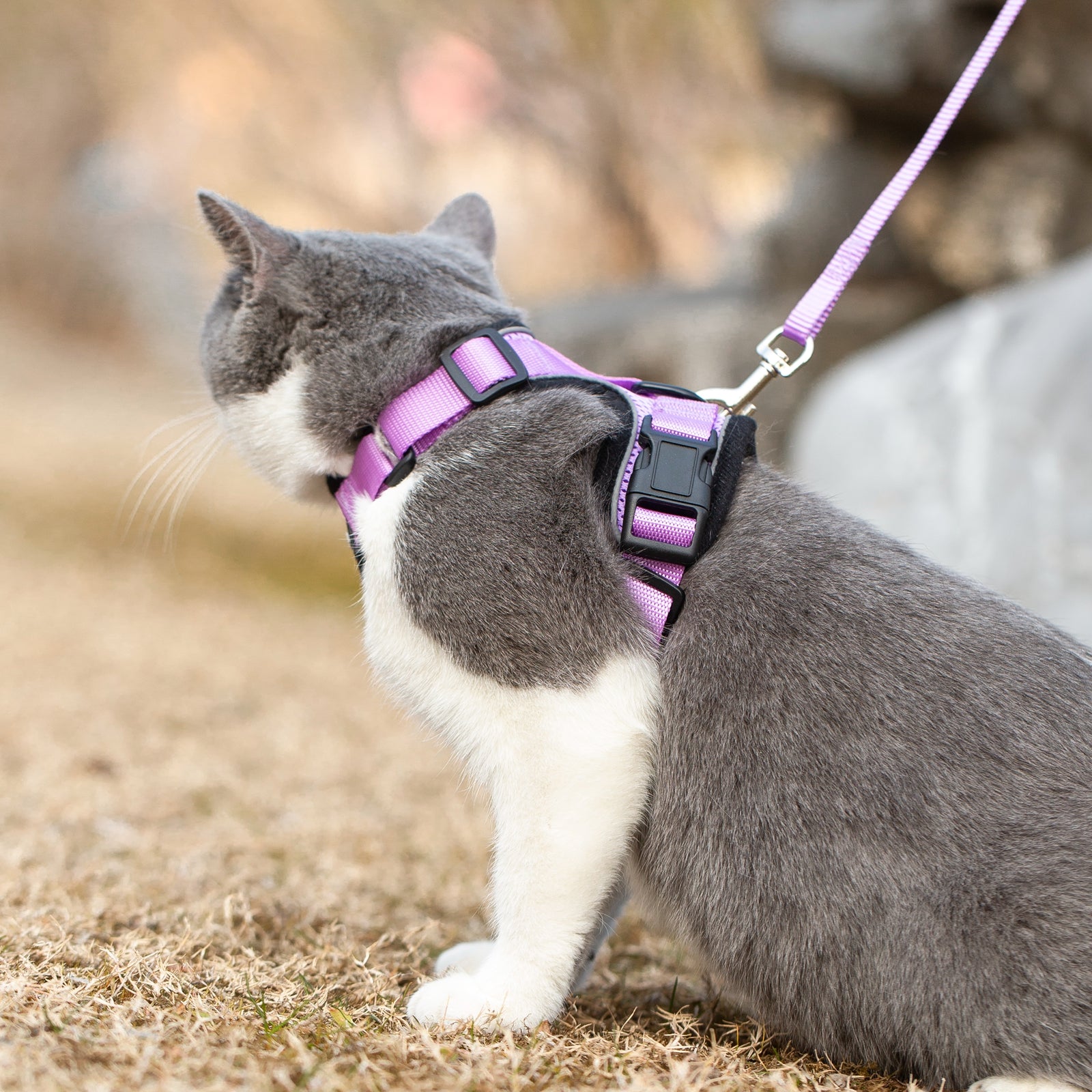 Mr. Peanut's PurrTrek Reflective Cat Harness with Matching Leash - gallery image 23