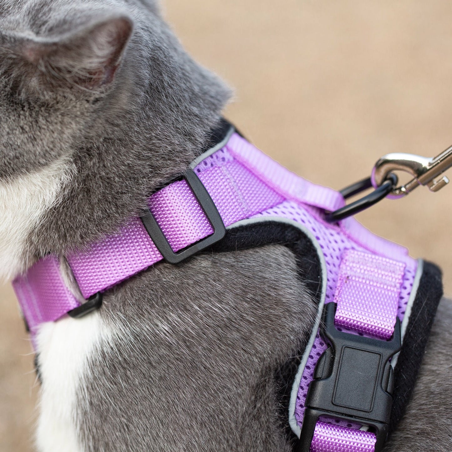 Mr. Peanut's PurrTrek Reflective Cat Harness with Matching Leash - gallery image 24