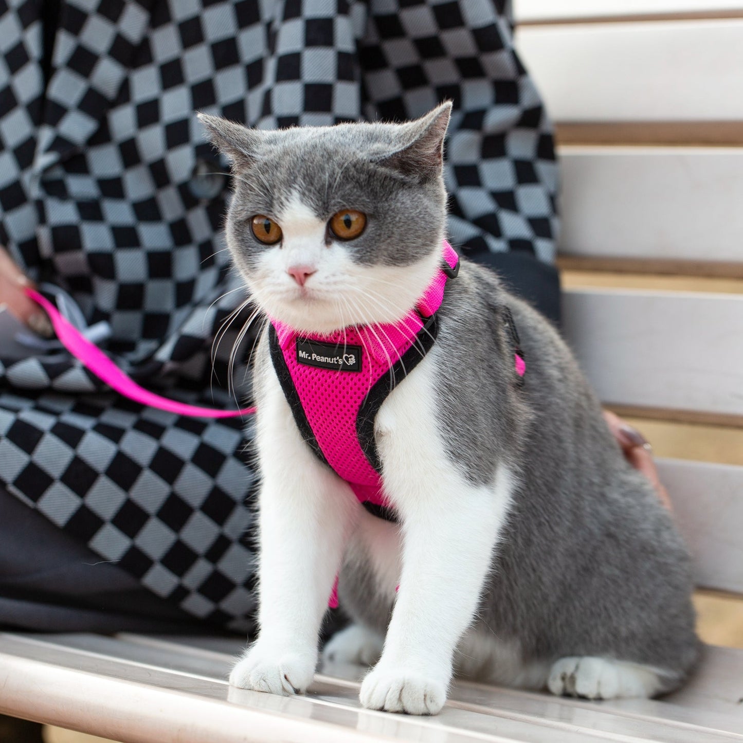 Mr. Peanut's PurrTrek Reflective Cat Harness with Matching Leash - gallery image 16