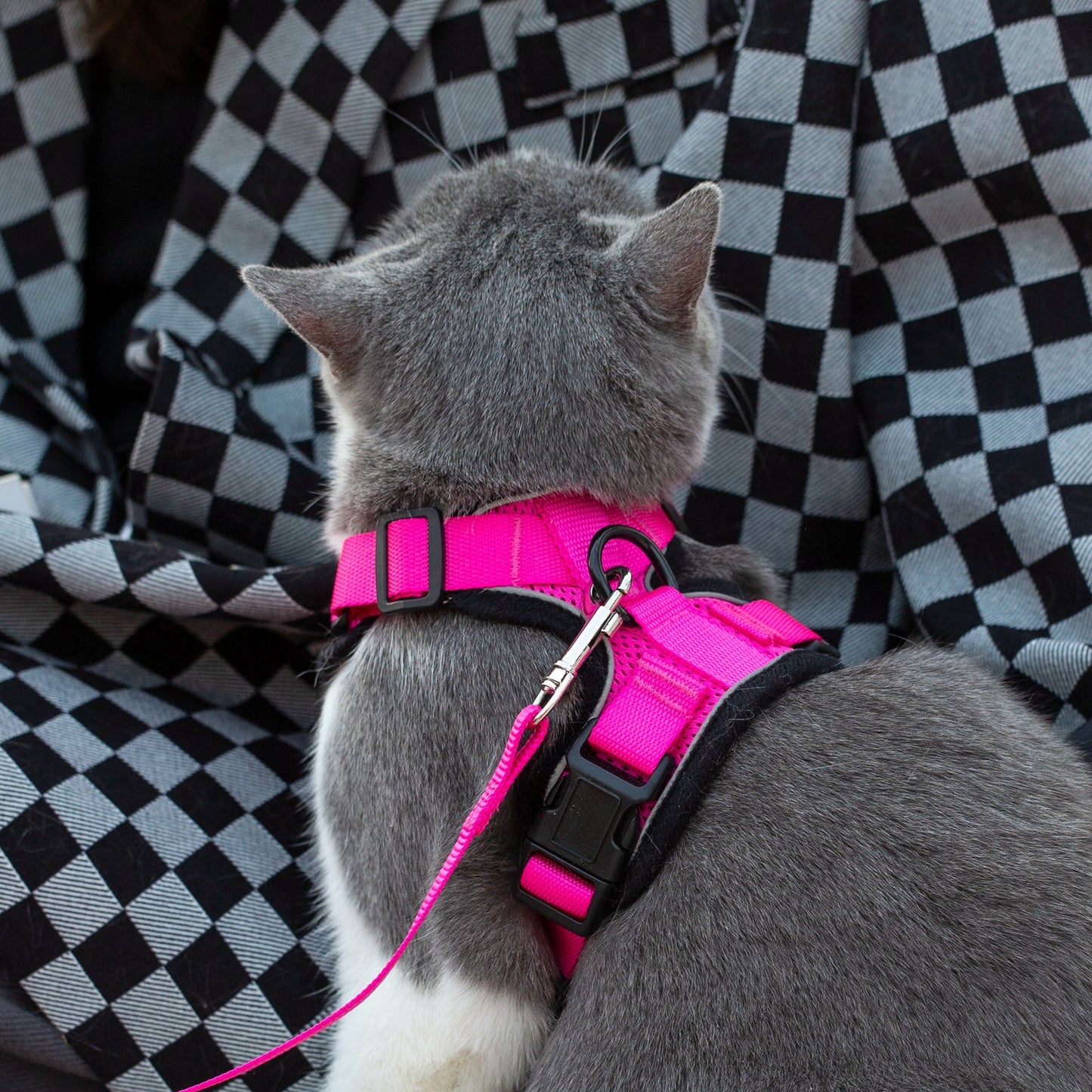 Mr. Peanut's PurrTrek Reflective Cat Harness with Matching Leash - gallery image 17