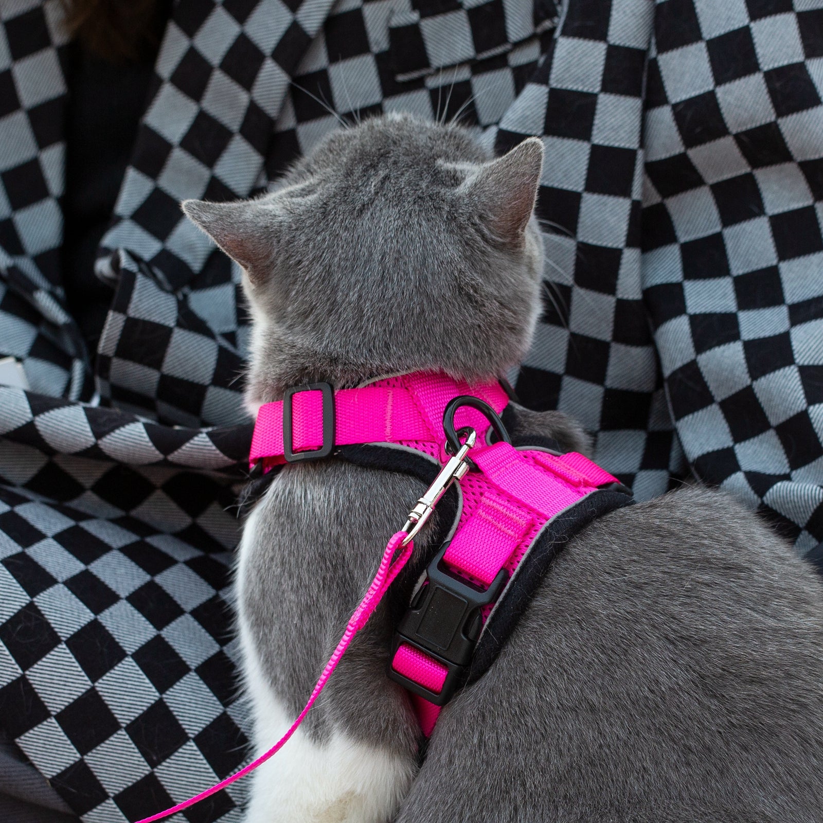 Mr. Peanut's PurrTrek Reflective Cat Harness with Matching Leash - gallery image 17