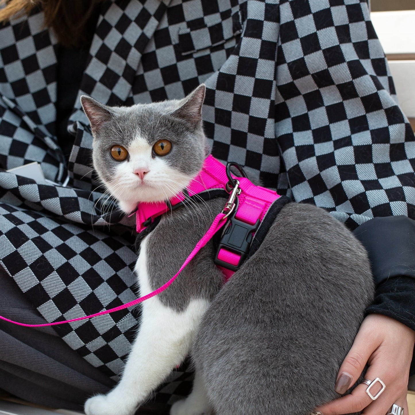Mr. Peanut's PurrTrek Reflective Cat Harness with Matching Leash - gallery image 9
