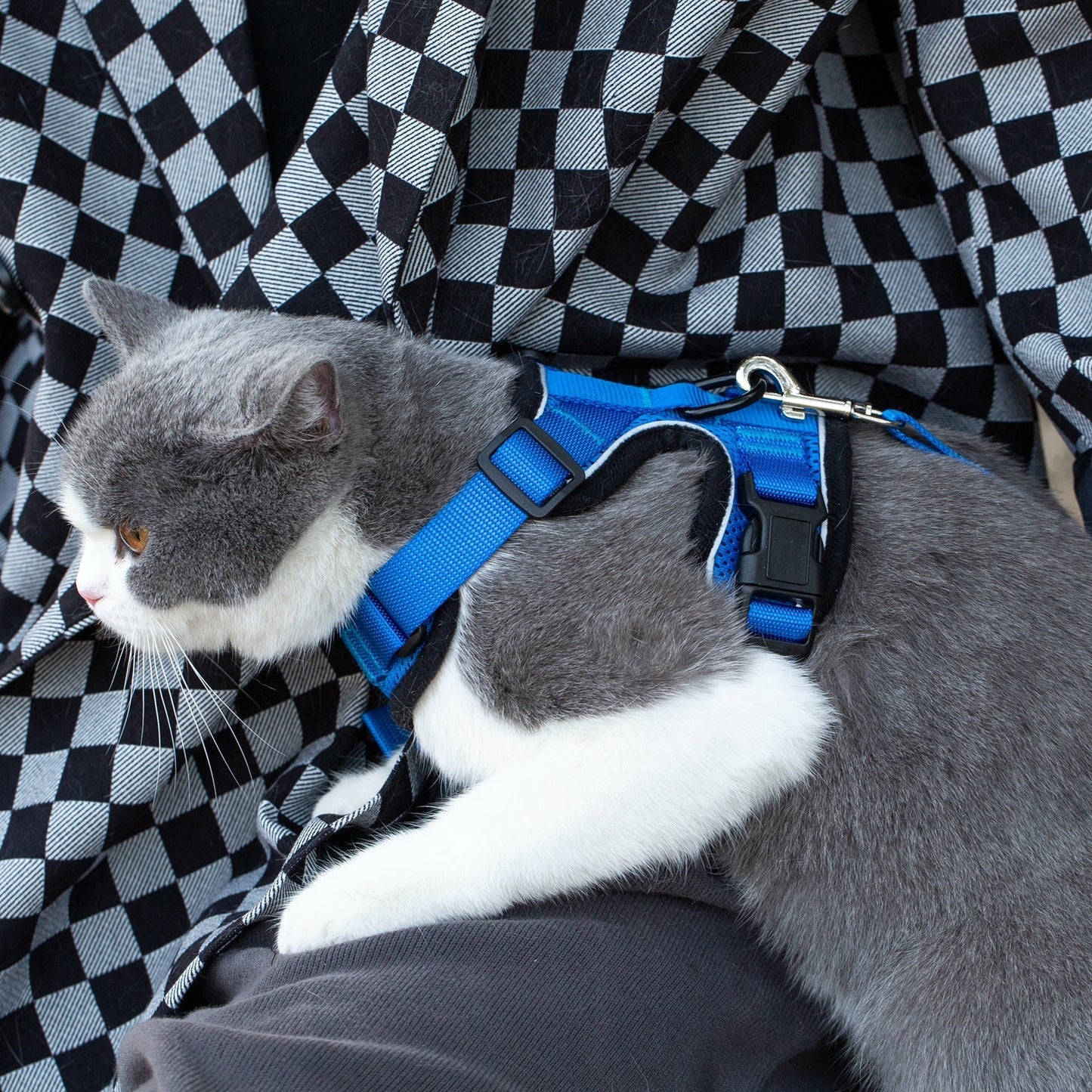 Mr. Peanut's PurrTrek Reflective Cat Harness with Matching Leash - gallery image 11