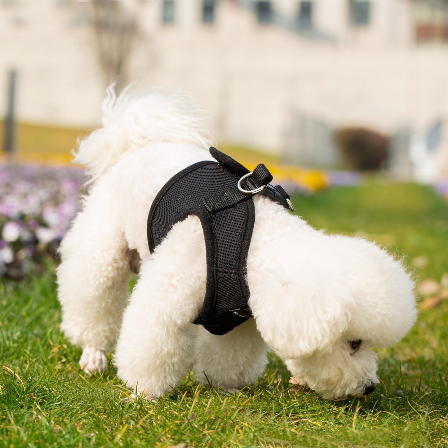 Mr. Peanut's PupTrek Soft Mesh Pet Harness with Matching Leash - Adjustable, Breathable, Choke-Free - gallery image 26
