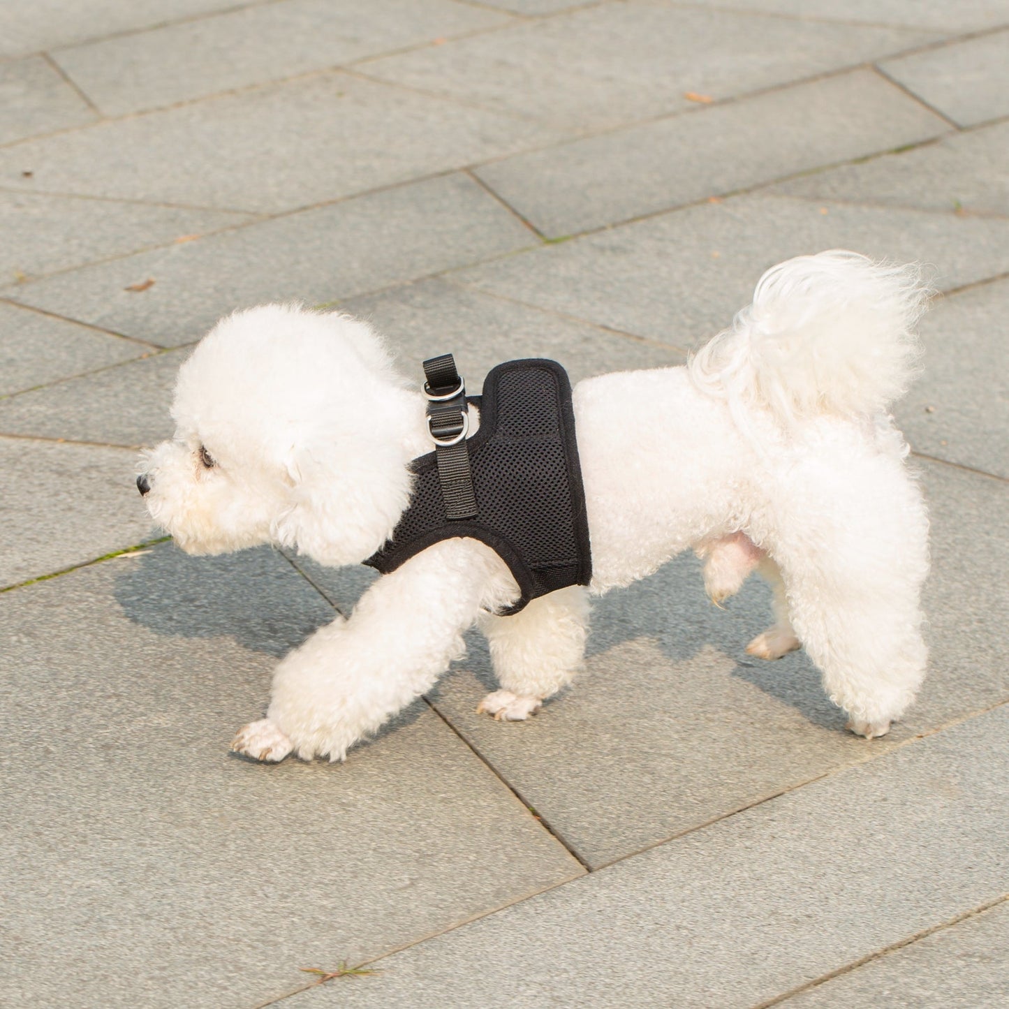Mr. Peanut's PupTrek Soft Mesh Pet Harness with Matching Leash - Adjustable, Breathable, Choke-Free - gallery image 34