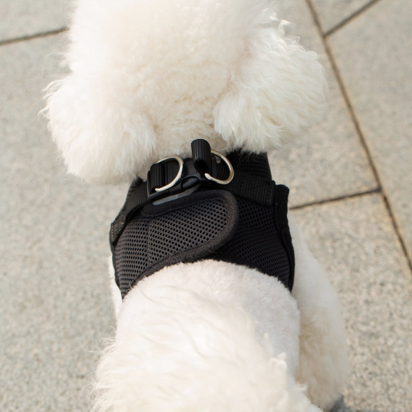 Mr. Peanut's PupTrek Soft Mesh Pet Harness with Matching Leash - Adjustable, Breathable, Choke-Free - gallery image 36
