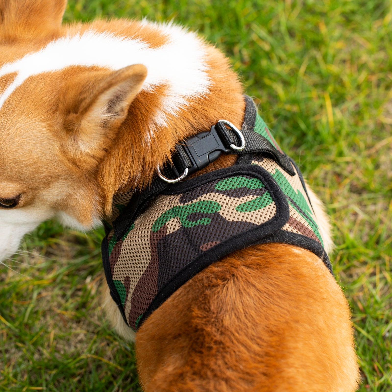 Mr. Peanut's PupTrek Soft Mesh Pet Harness with Matching Leash - Adjustable, Breathable, Choke-Free - gallery image 20