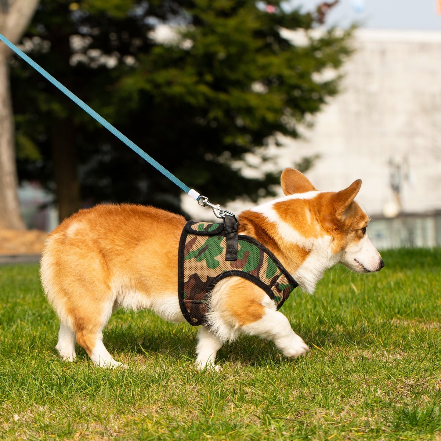 Mr. Peanut's PupTrek Soft Mesh Pet Harness with Matching Leash - Adjustable, Breathable, Choke-Free - gallery image 25