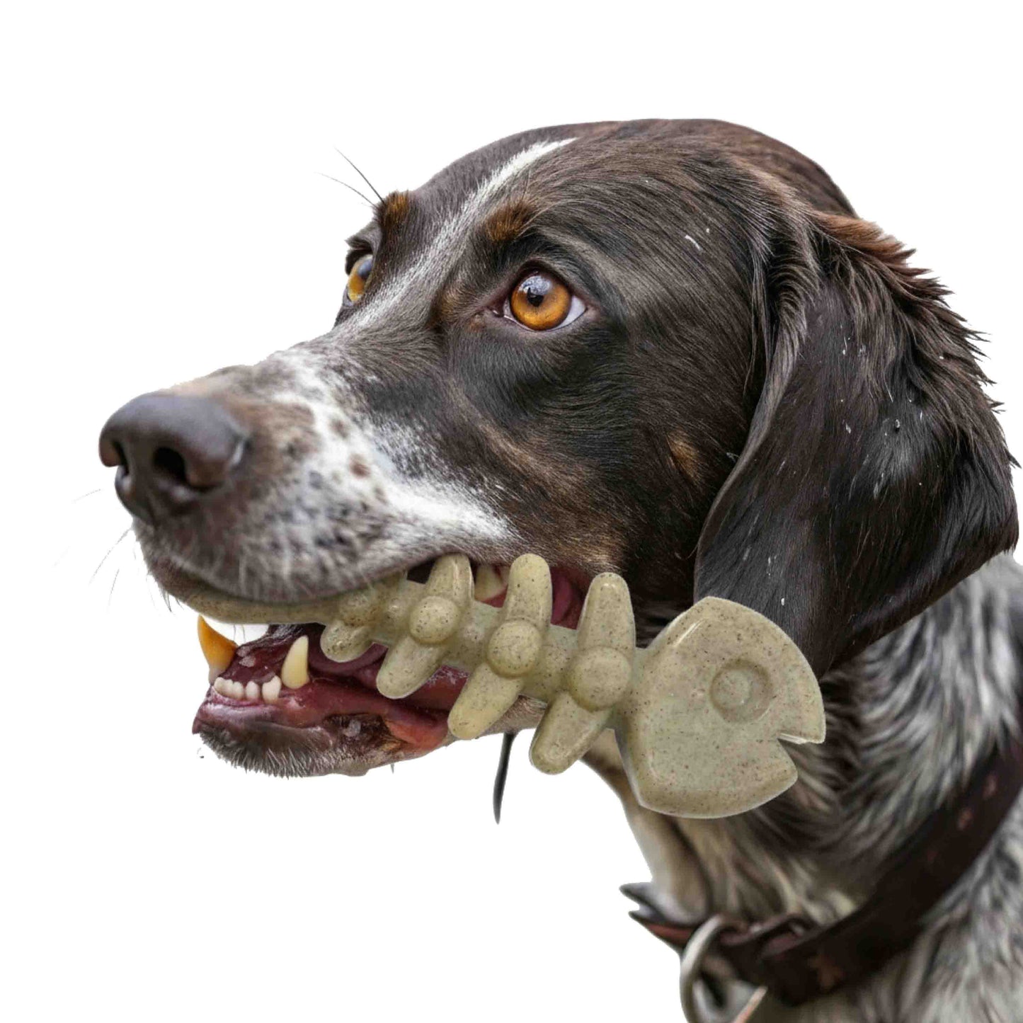 Fish Bone Nylon Dog Toy For Aggressive Chewers USA Made Dog - gallery image 5