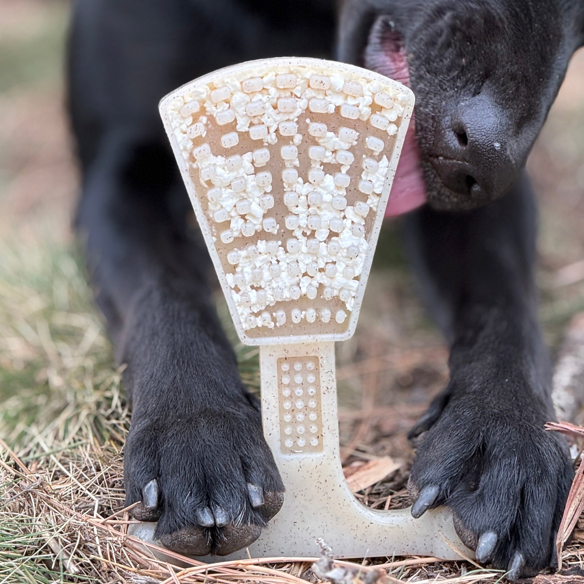 Dog Treats Waffle Tower Nylon Chew Enrichment Toy 2-in-1 for - gallery image 8