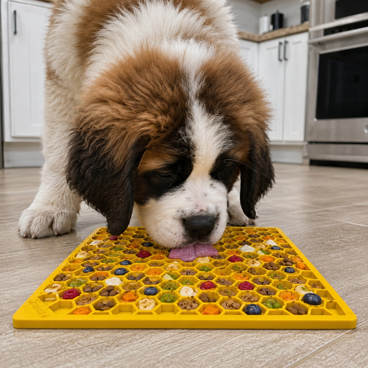 Honeycomb Emat Enrichment Lick Mat For Dogs And Cats Emat - gallery image 13