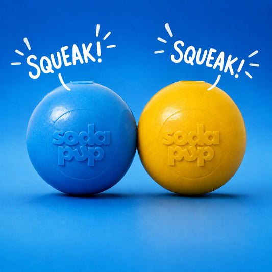 Dog Treats Squeak Ball Durable Squeaky Toy Floats Chew Toy - main product image for dog treats