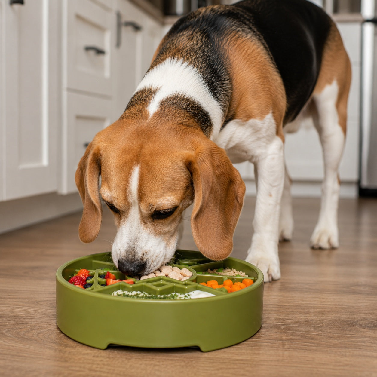 Great Outdoors Ebowl Slow Feeder Dog Bowl Enrichment USA Pet - gallery image 12