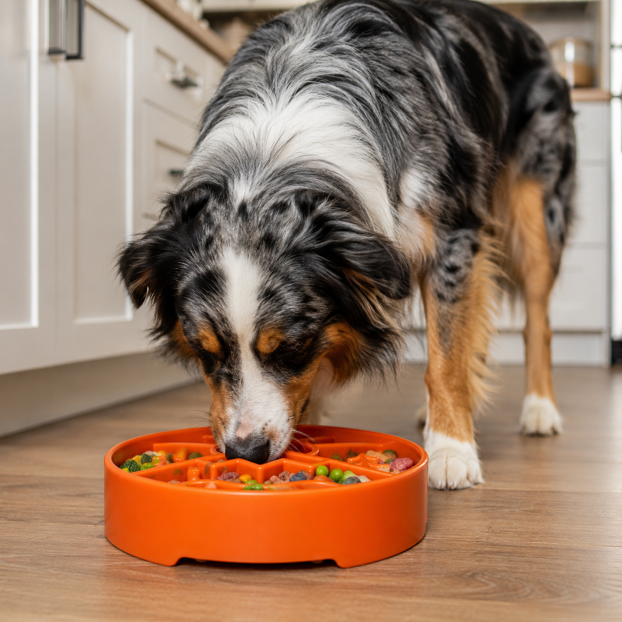 Great Outdoors Ebowl Slow Feeder Dog Bowl Enrichment USA Pet - gallery image 10