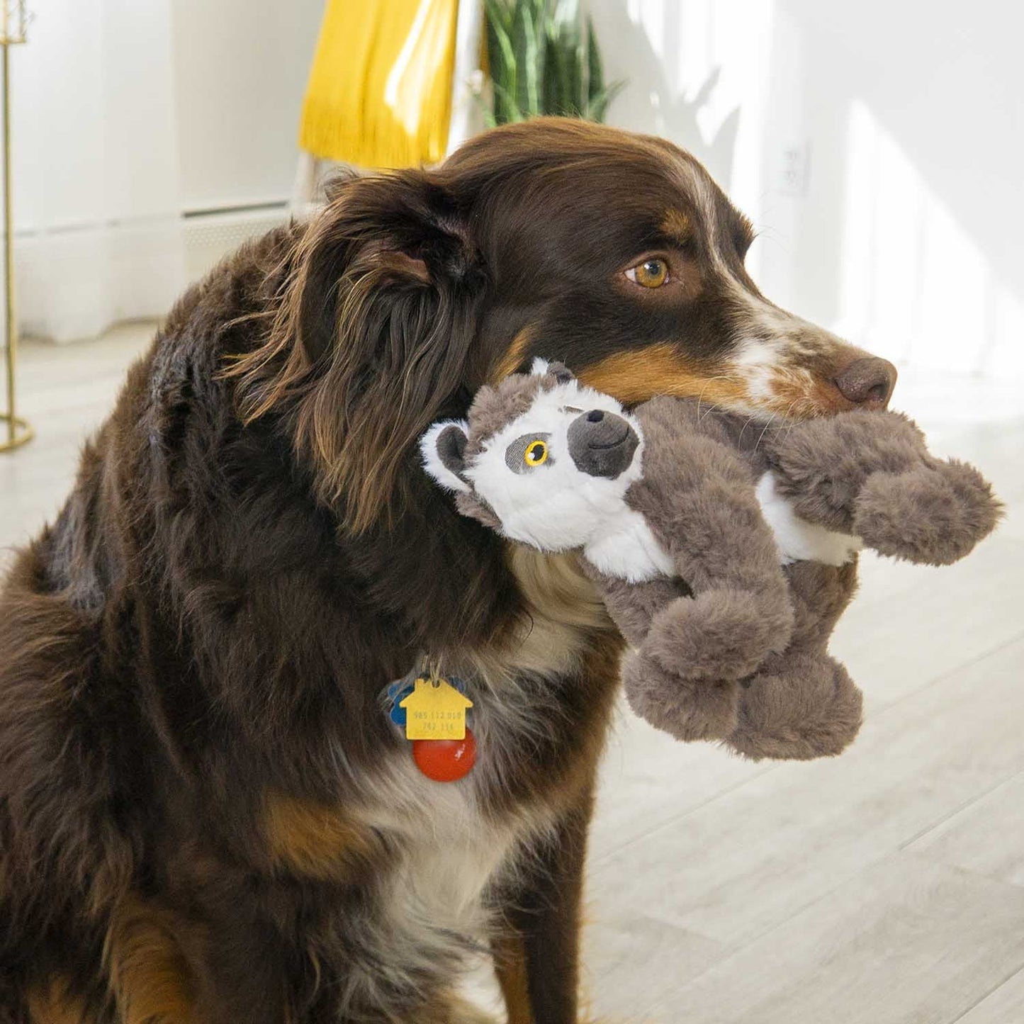 KONG Scampers Lemur Medium For Dogs Plush Dog Toy Durable - lifestyle view