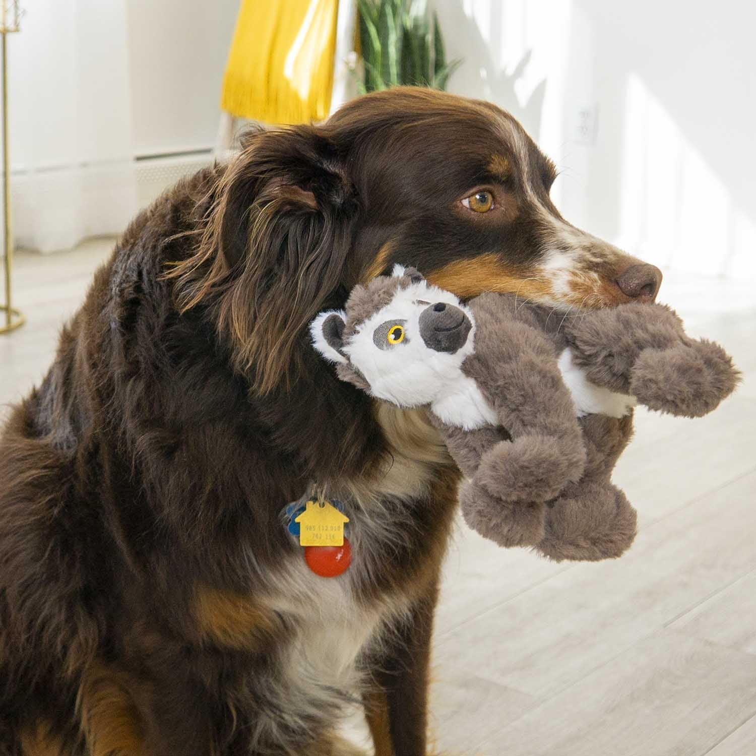 KONG Scampers Lemur Medium For Dogs Plush Dog Toy Durable - lifestyle view