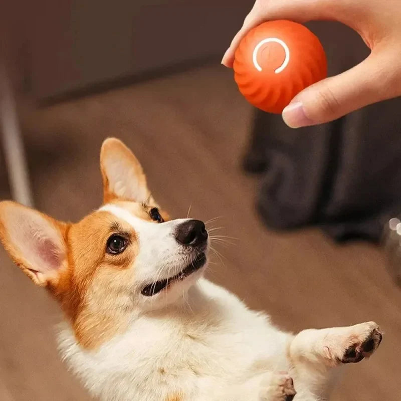 Dog Toy Ball Automatic Moving Bouncing Rolling Ball USB Smart puppy Interactive Dog Chew Toy Ball - gallery image 5