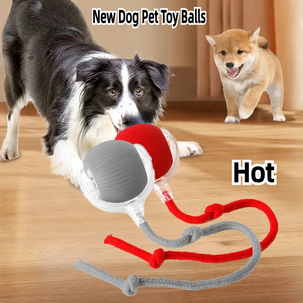 Rechargeable Smart Pet Interactive Automatic Rolling Ball Toy Cats Pet Products New Electric Dog Ball Toy Simulated Tail For