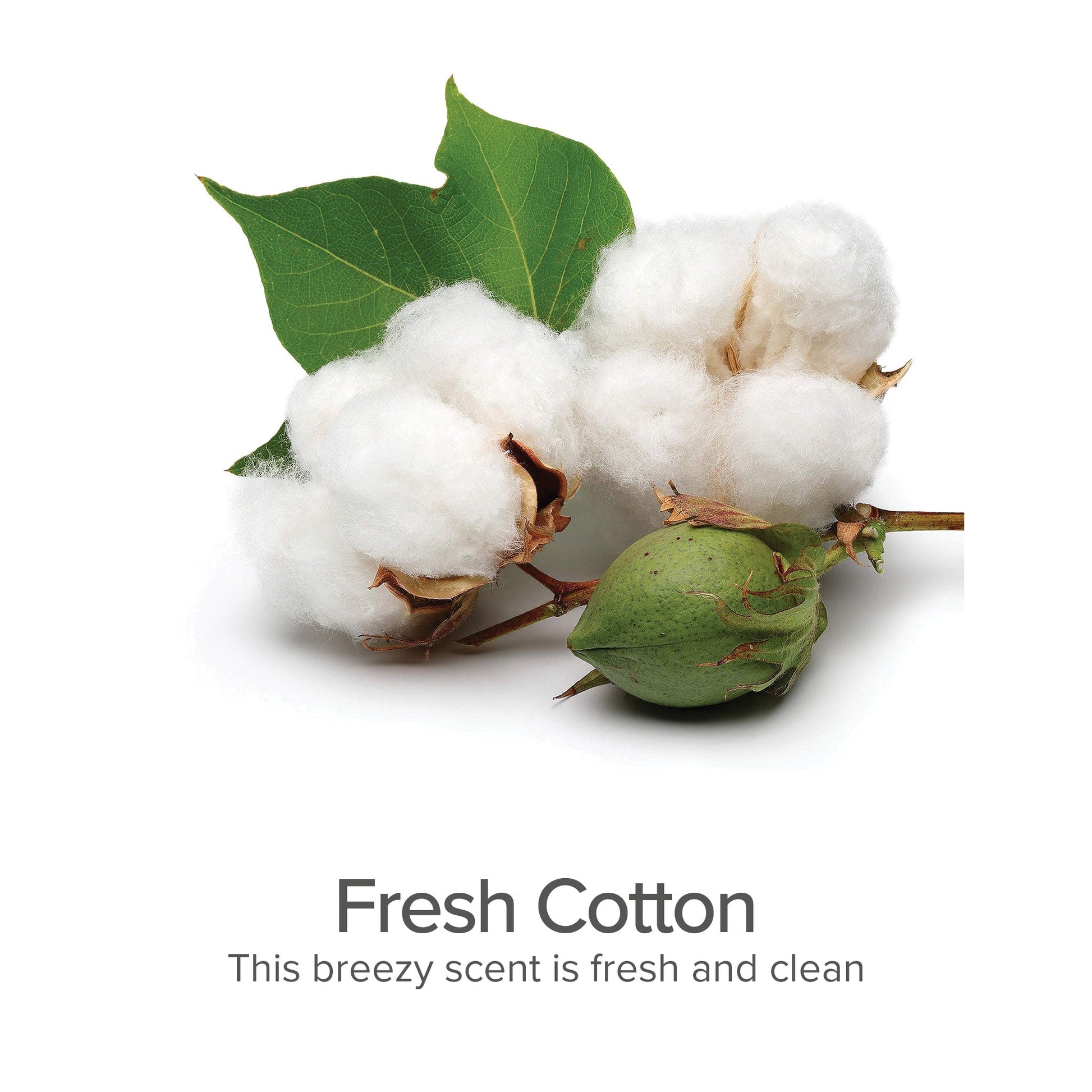 Between Bath Freshener (Fresh Cotton) - detail view