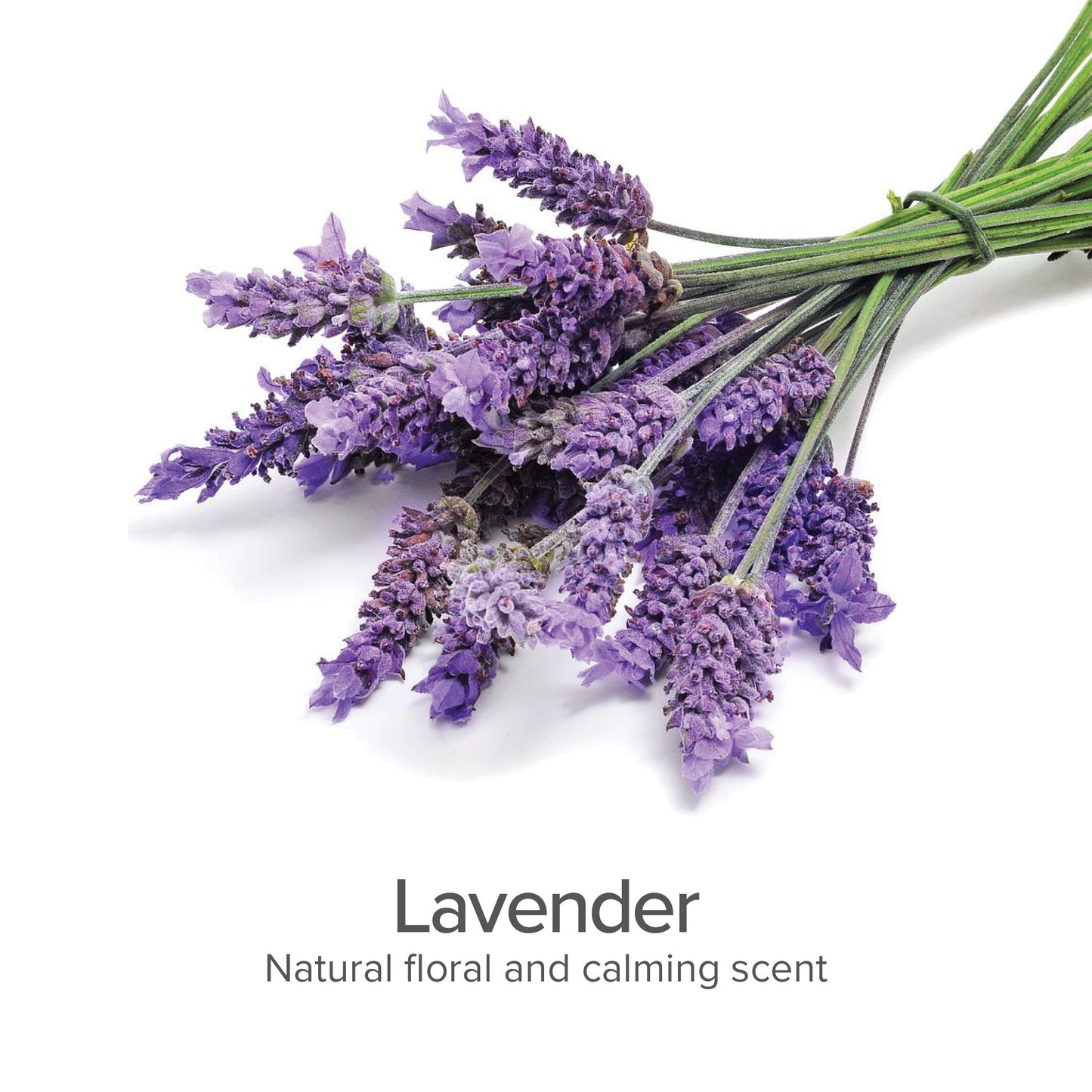 Between Bath Freshener (Lavender) - detail view
