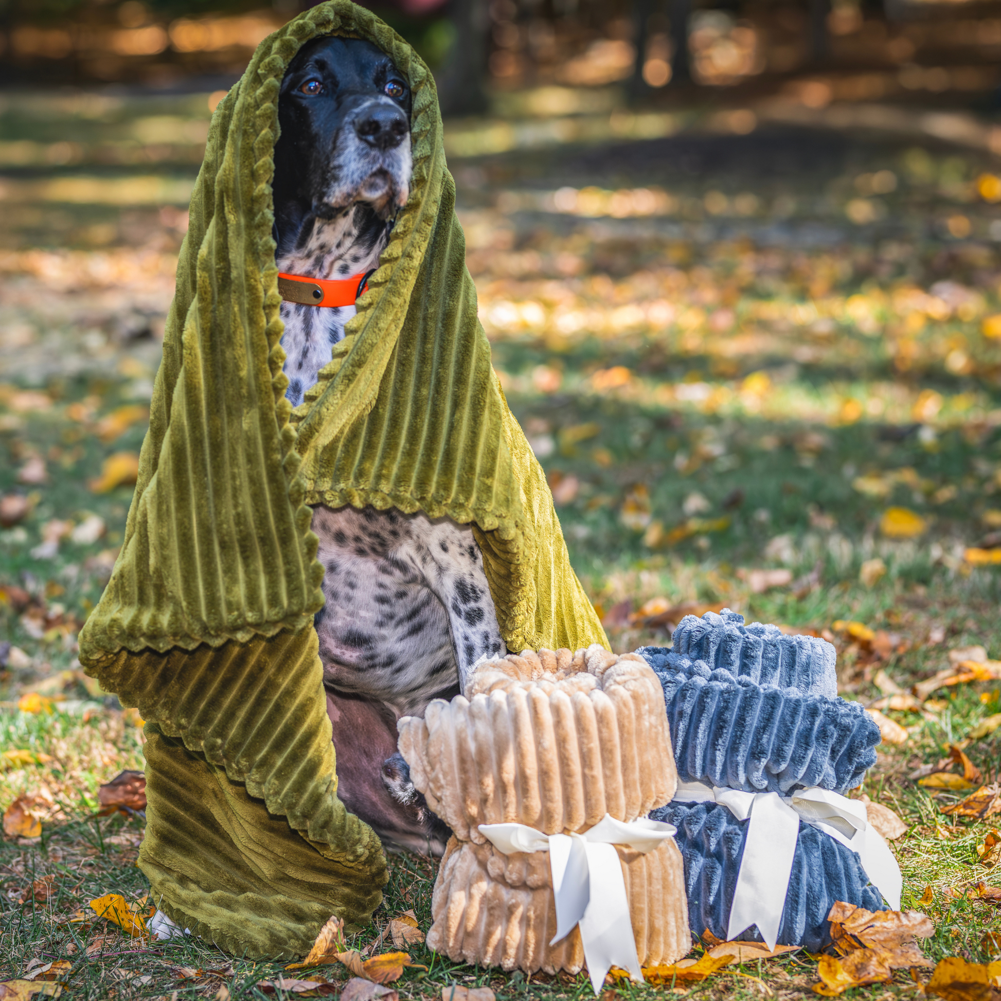Dog Bed Scout Blankie Double-Sided Plush Blanket for Comfort main product image for dogs and cats