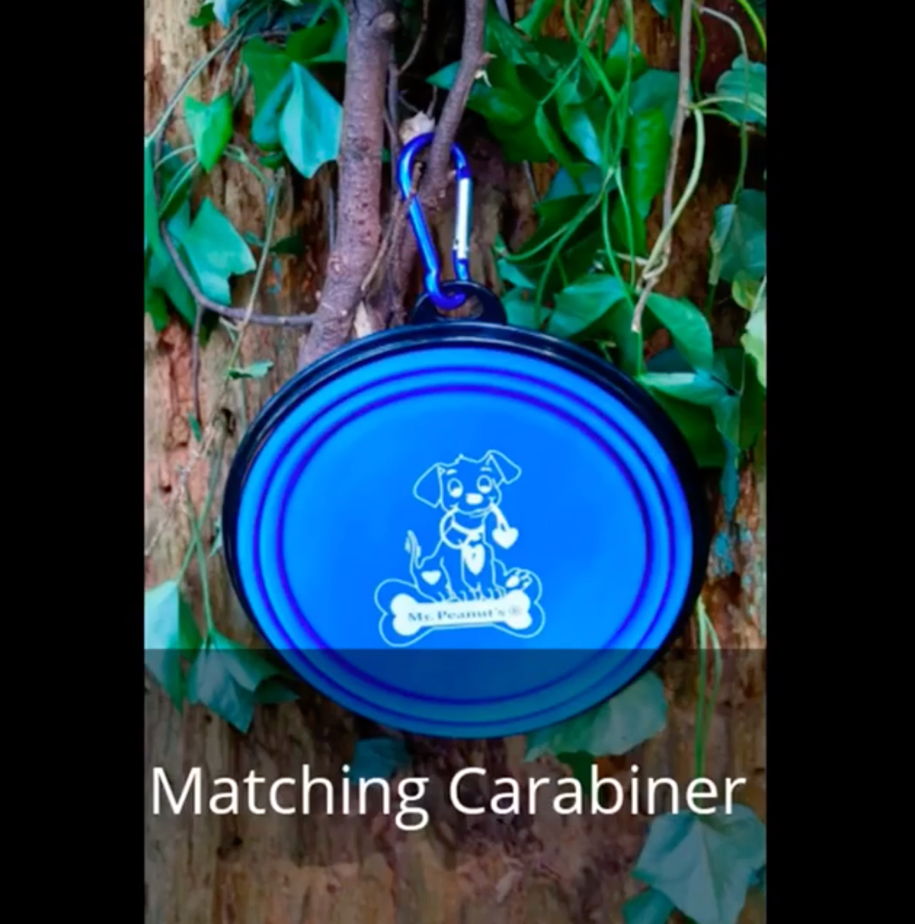 Single Blue Silicone Collapsible Travel Bowl - 12oz - close up view