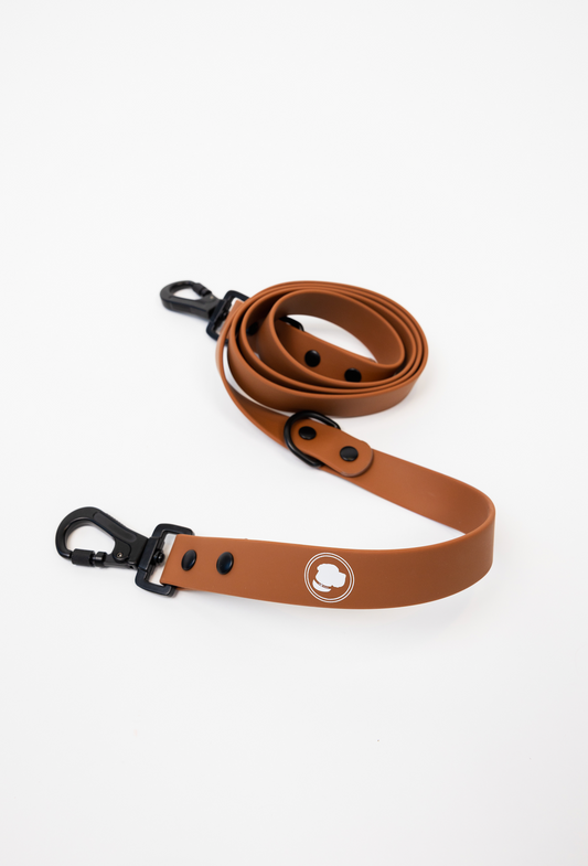 Dog Leash Leash Coco Brown for Everyday Walking Leash Essent - main product image for dog leash