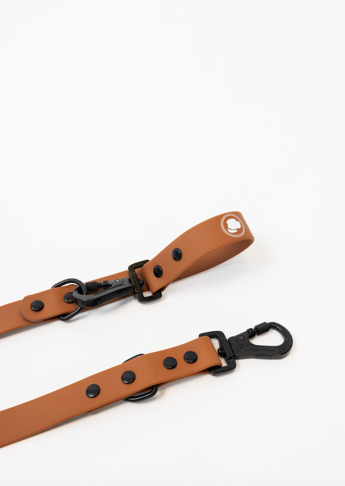 Dog Leash Leash Coco Brown for Everyday Walking Leash Essent - lifestyle product image for dog leash