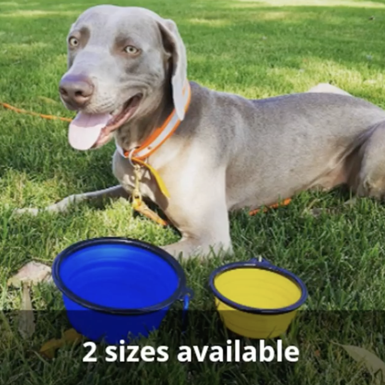 Collapsible Silicone Travel Bowls - 12oz - gallery image 17