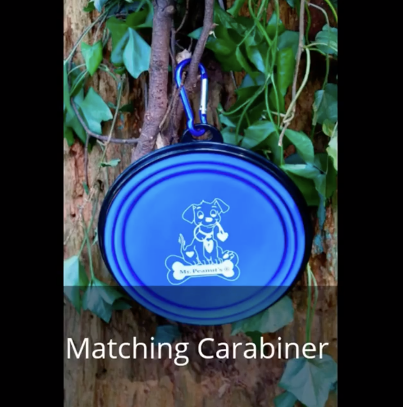 Pet Feeding Supplies 2 Pak XL 34oz Collapsible Travel Bowls - gallery image 8