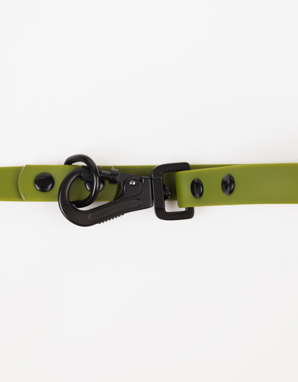 Dog Leash Accessory Olive Green Adjustable Everyday Essentia - detail product image for dog leash