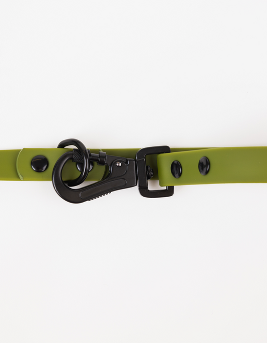 Dog Leash Accessory Olive Green Adjustable Everyday Essentia - detail product image for dog leash
