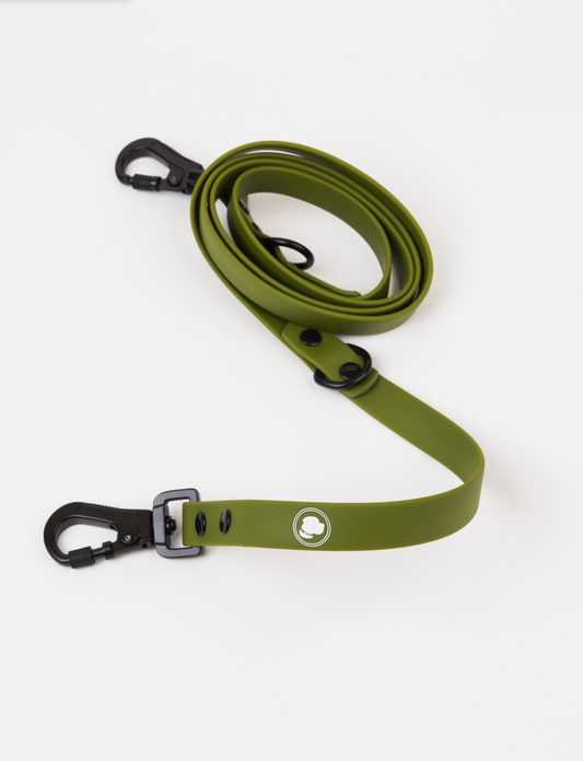Dog Leash Accessory Olive Green Adjustable Everyday Essentia - main product image for dog leash