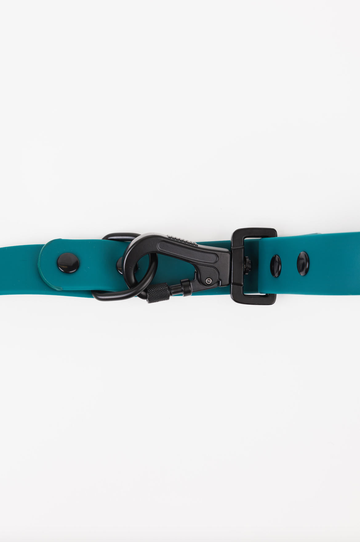Dog Leash Accessory Forest Green Adjustable Everyday Essenti - size and texture image for dog leash