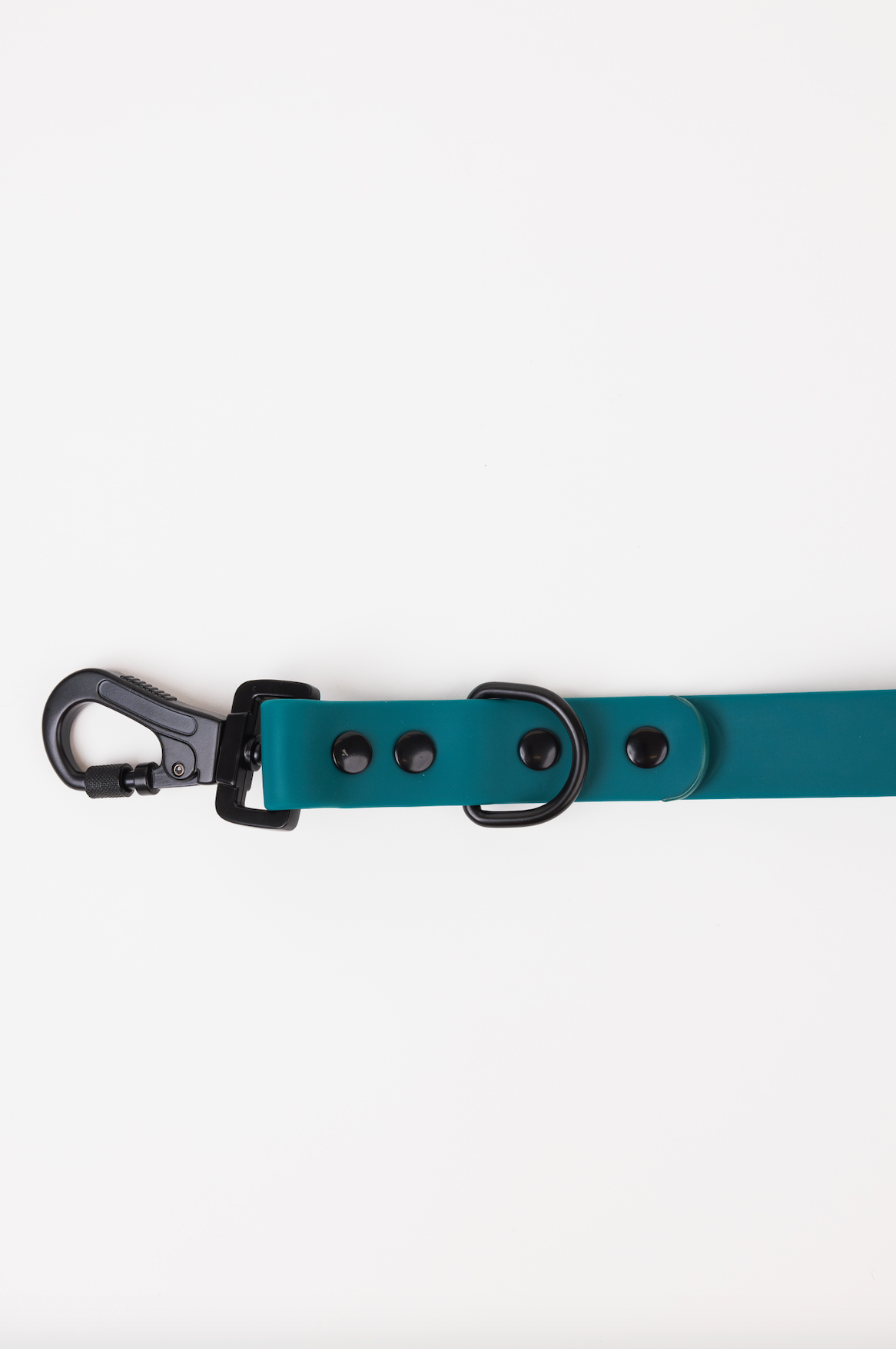 Dog Leash Accessory Forest Green Adjustable Everyday Essenti - lifestyle product image for dog leash